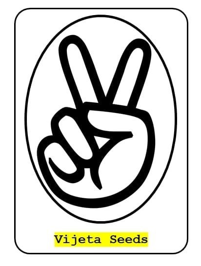 Vijeta Seeds logo